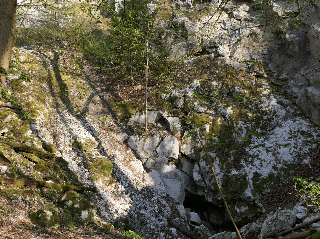 Foto-Wandern.com-Nordhausen必去景点