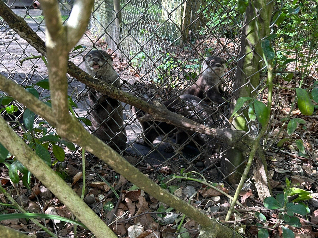 New Forest Wildlife Park-Ashurst必去景点