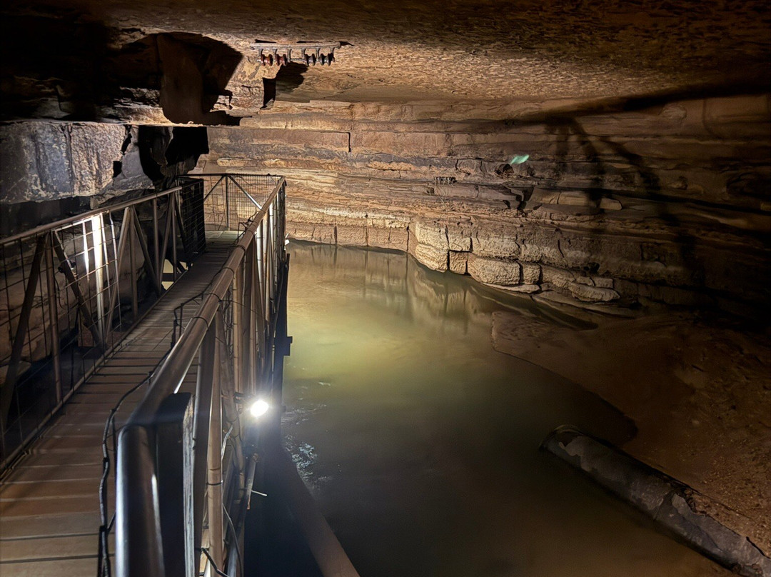 Hidden River Cave and American Cave Museum-Horse Cave必去景点