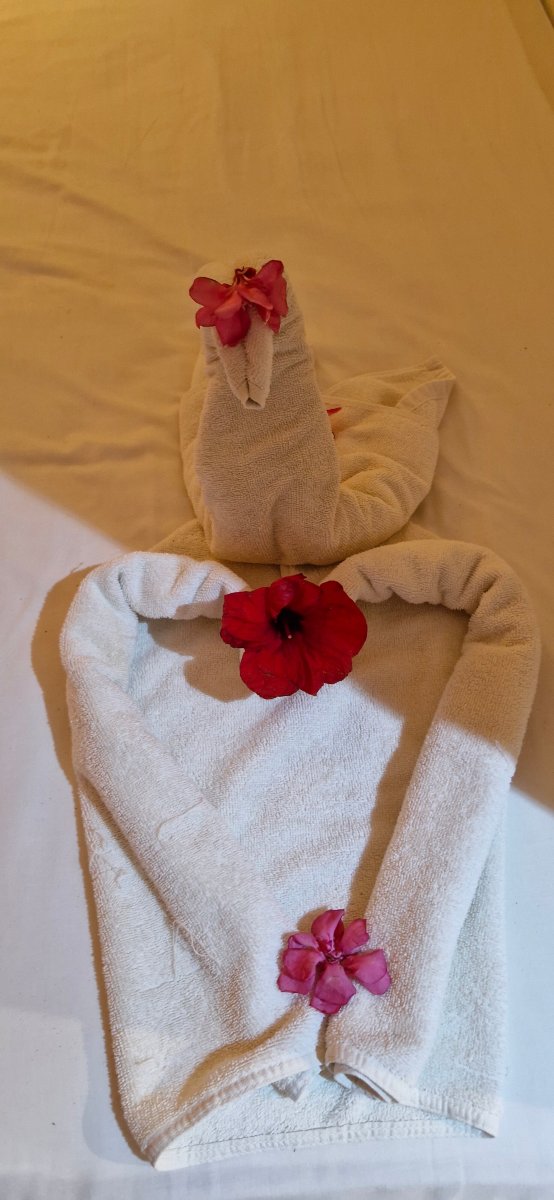 Hotel Golf Beach & Spa-旅行者