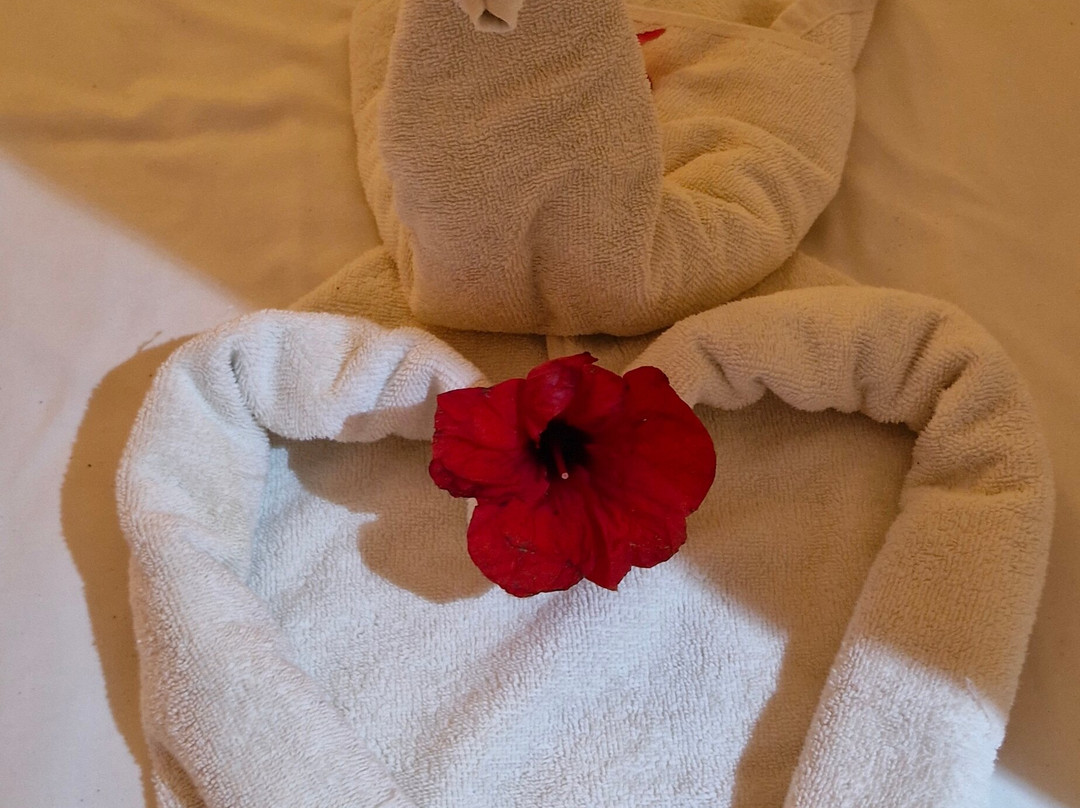 Hotel Golf Beach & Spa主图