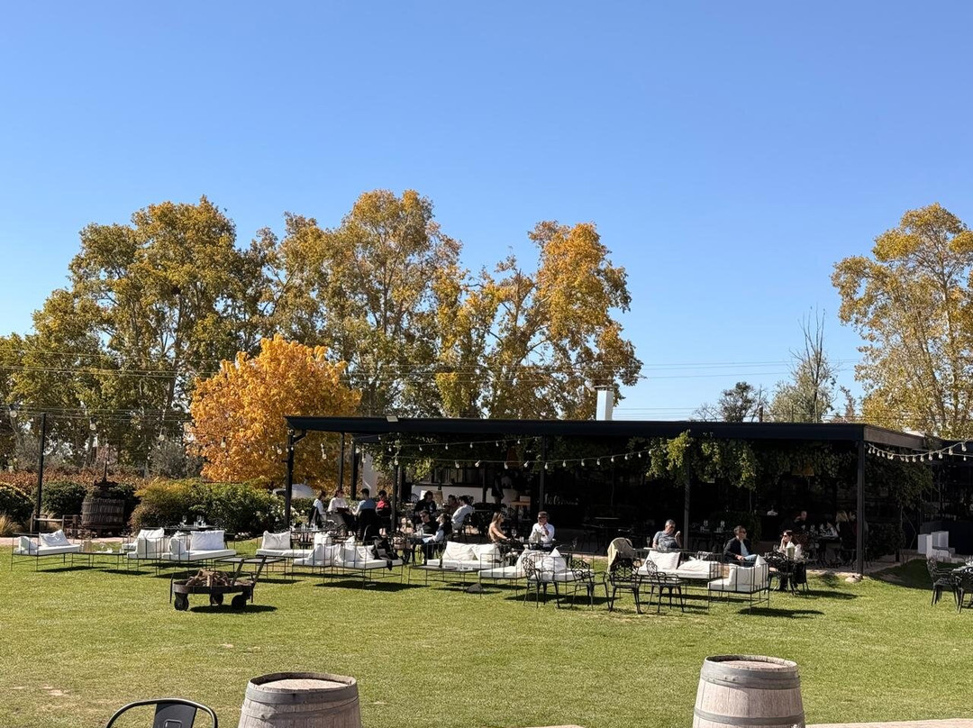Viamonte Winery-路冉得库约必去景点