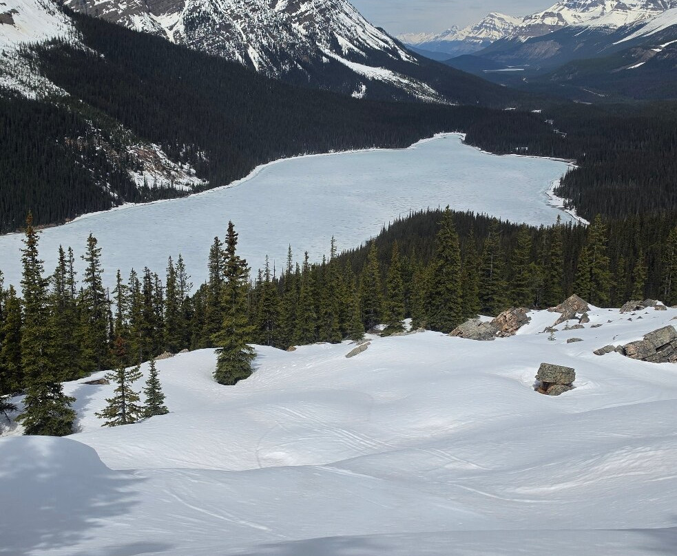 Canadian Rockies Experience-坎莫尔必去景点