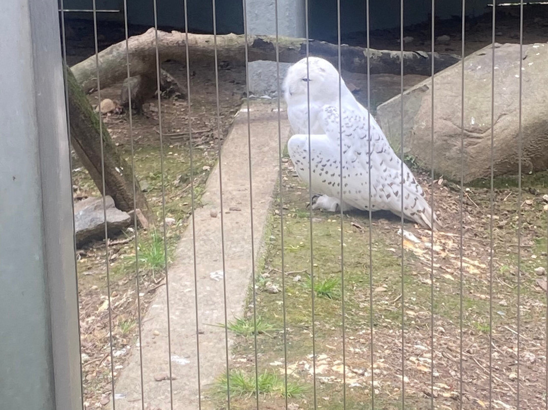 Bronx Zoo-布朗克斯必去景点