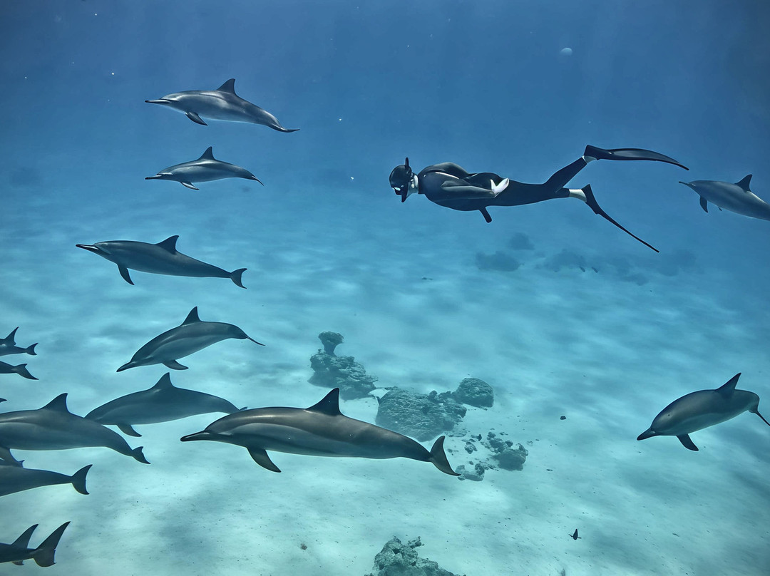 Marsa Alam Tours-马萨阿拉姆必去景点