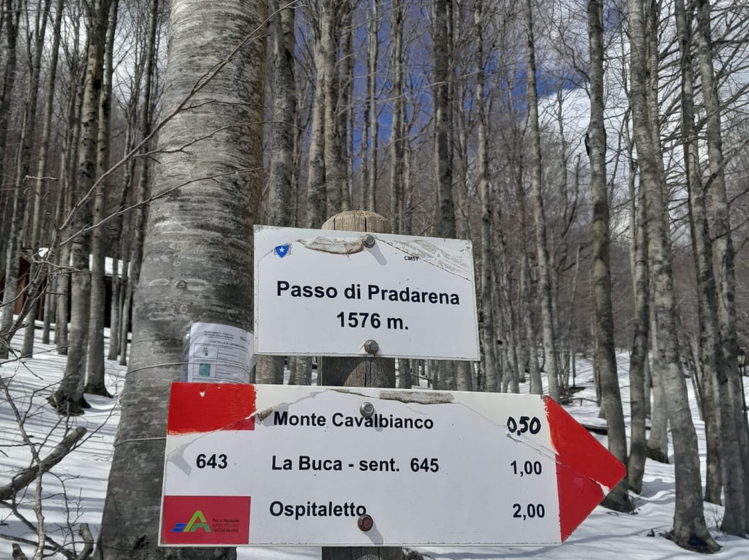 Passo di Pradarena-Ligonchio必去景点