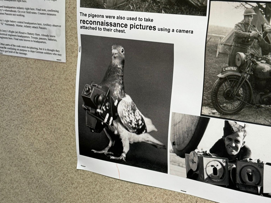 Davidstow Airfield & Cornwall At War Museum-Camelford必去景点