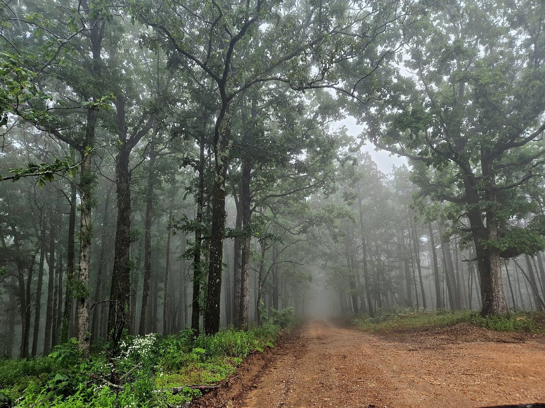Avant Mining Fisher Mountain-Mount Ida必去景点
