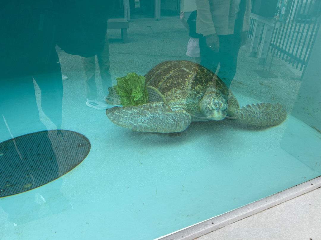 太平洋水族馆-长滩必去景点