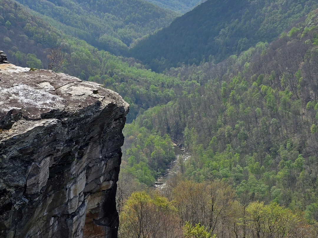 Blackwater Falls State Park-戴维斯必去景点