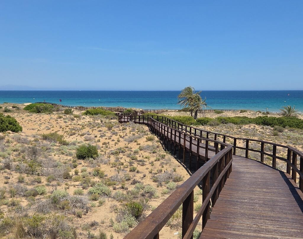 Platja Del Carabassí-埃尔切必去景点