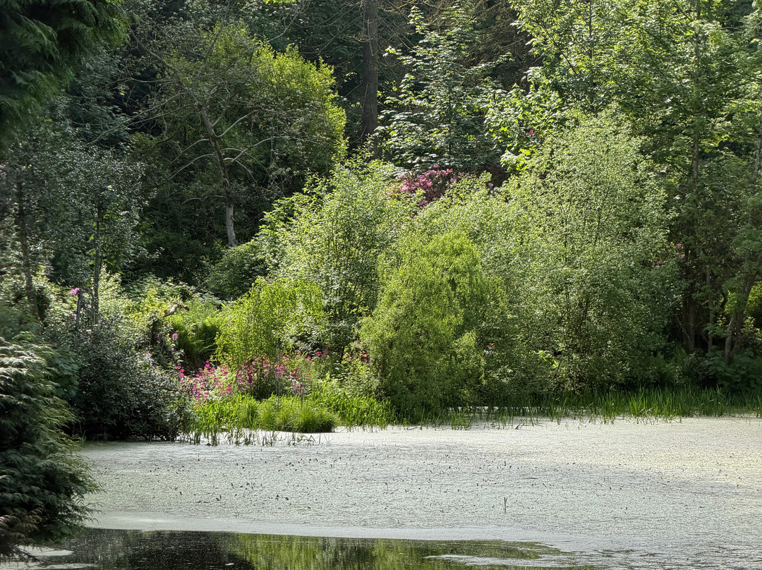 Arbigland House and Gardens-邓弗里斯必去景点