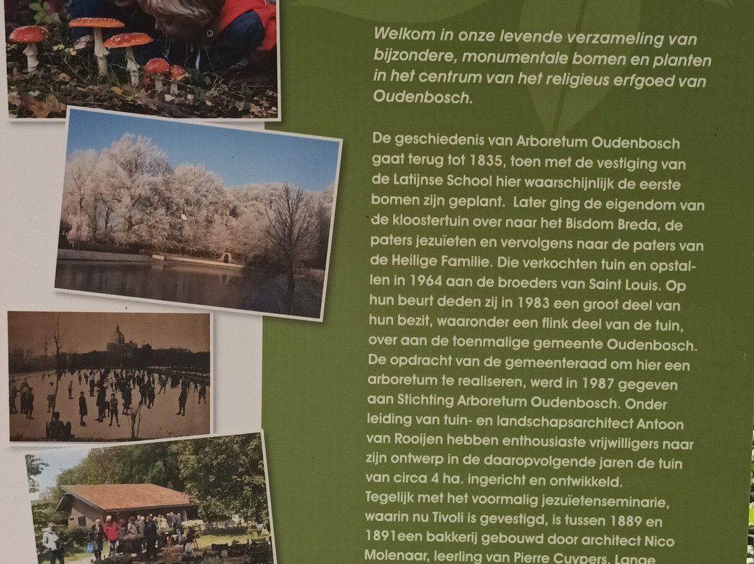 Botanical Garden Arboretum Oudenbosch-Oudenbosch必去景点