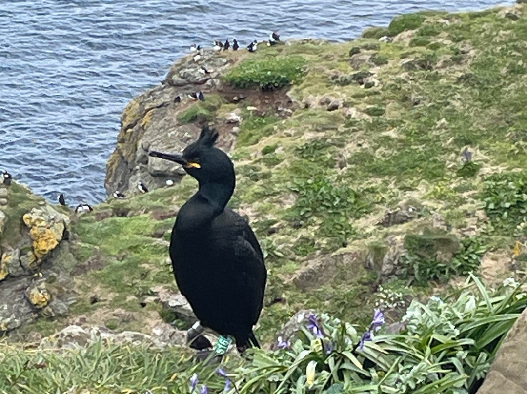 Tiree Sea Tours-Isle of Tiree必去景点