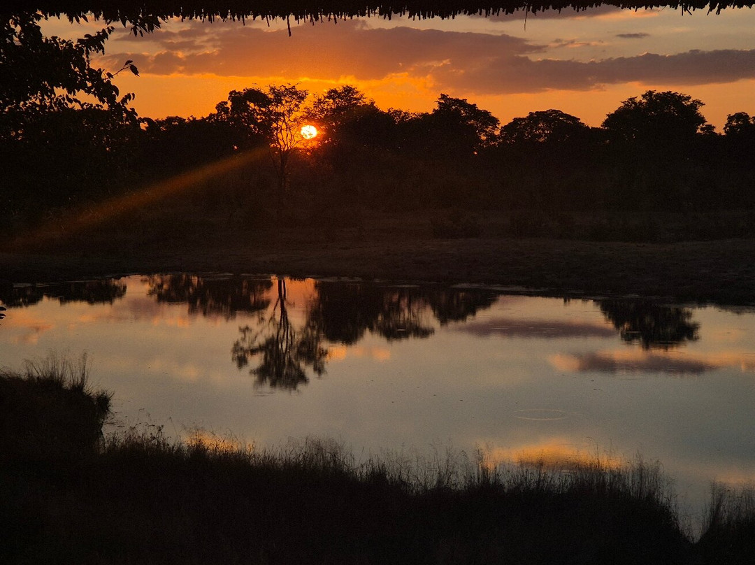 Chobe Mopani Forest Lodge