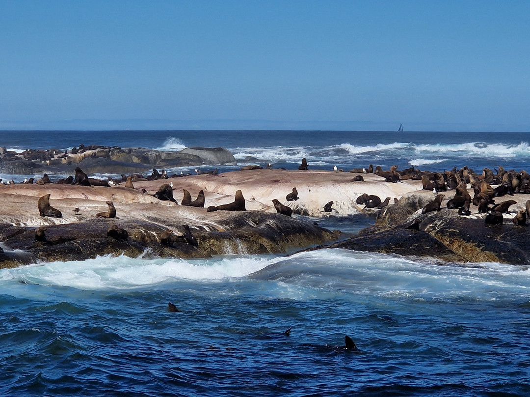 Loisico Tours and Excursions-Bloubergstrand必去景点
