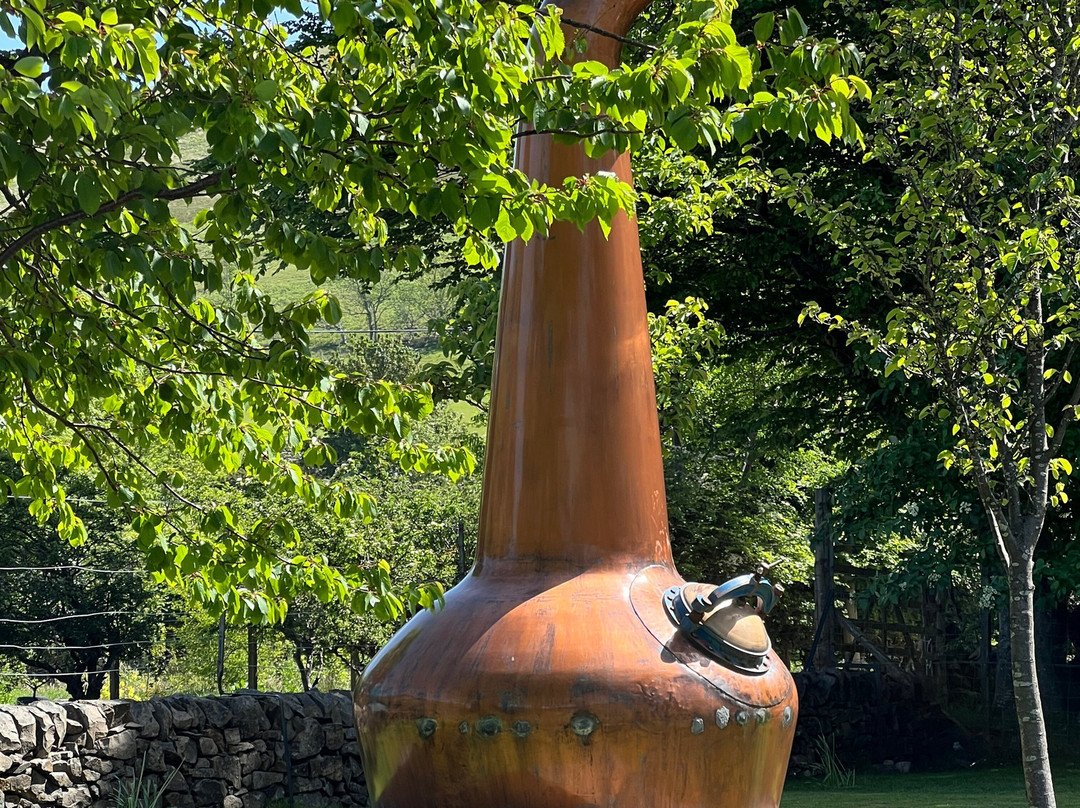 Lochranza Distillery-Lochranza必去景点
