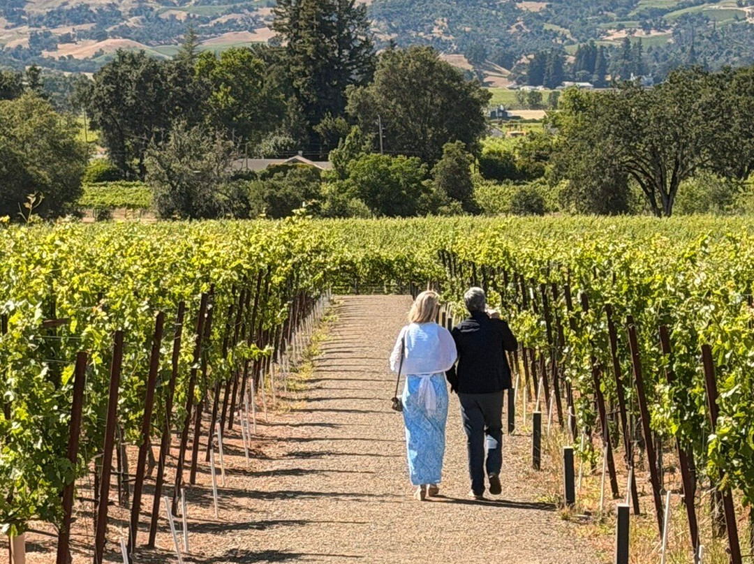 Silver Oak Cellars-奥克维尔必去景点