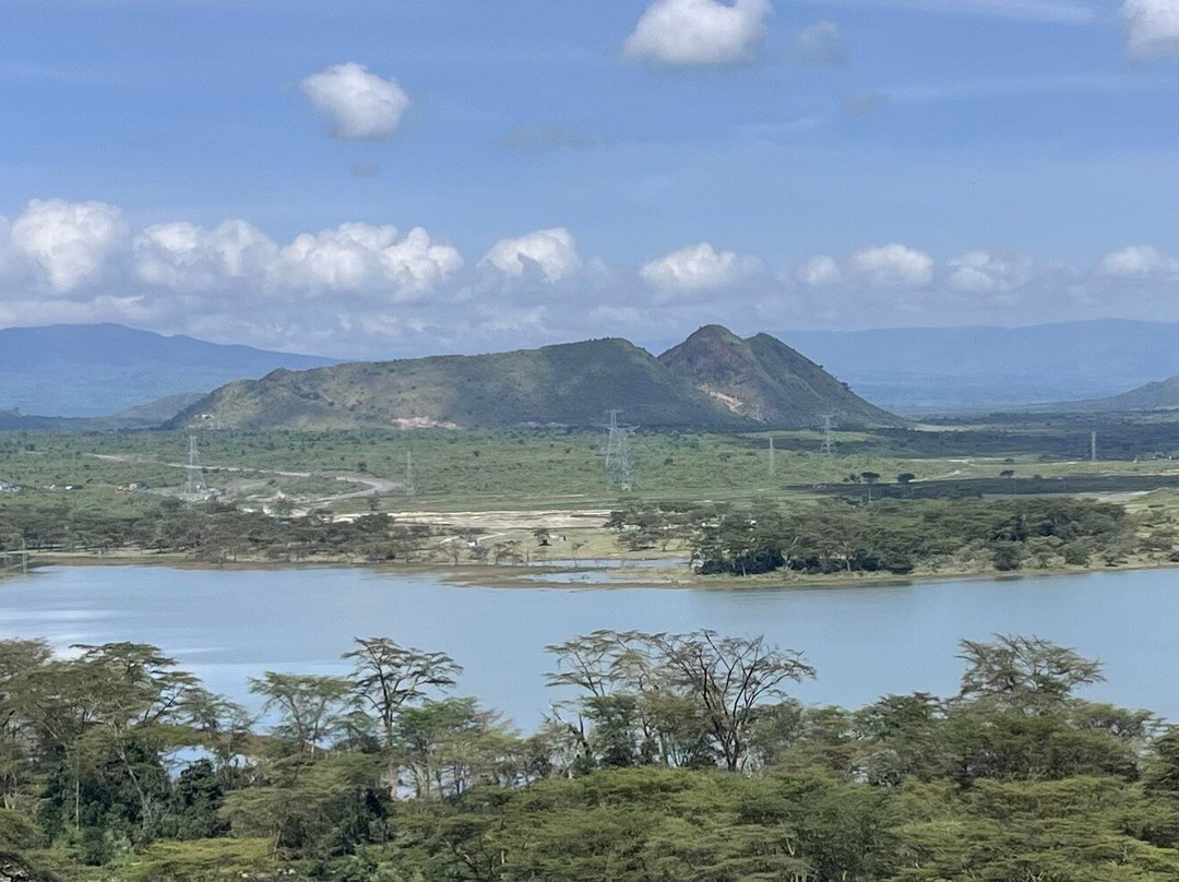兰花楹湖艾丽门泰塔旅馆主图