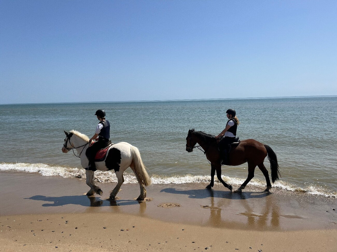 Shrule Equestrian Centre-Gorey必去景点