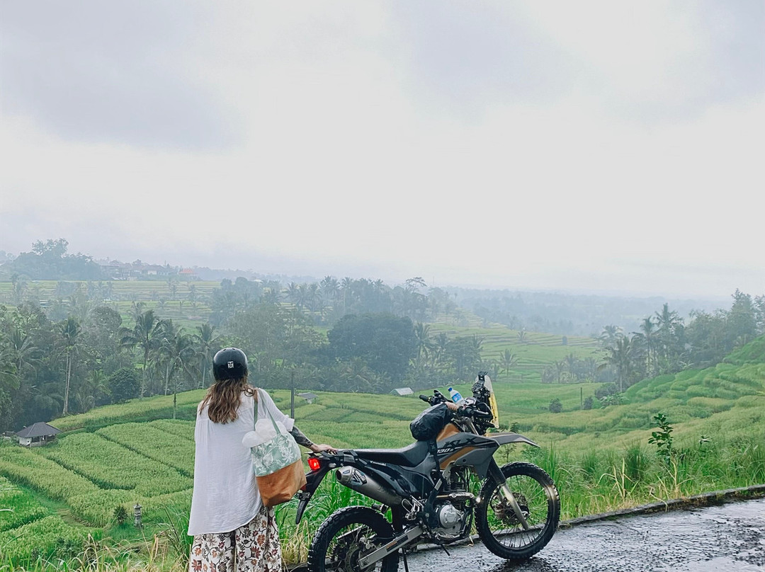Bali Hire Driver-努沙杜瓦必去景点
