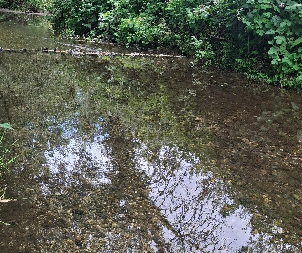 Langford Lakes Nature Reserve-Steeple Langford必去景点