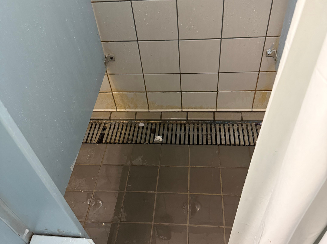 马瑟营地主图