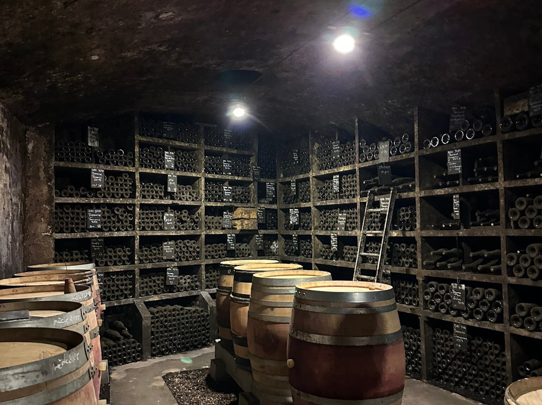Domaine Chanson Pere & Fils-博讷必去景点