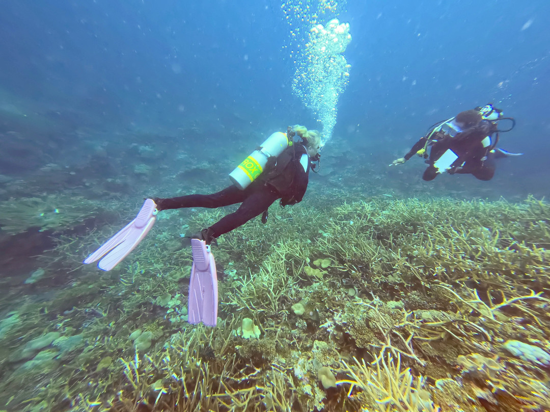Jean-Michel Cousteau Diving-萨武萨武必去景点