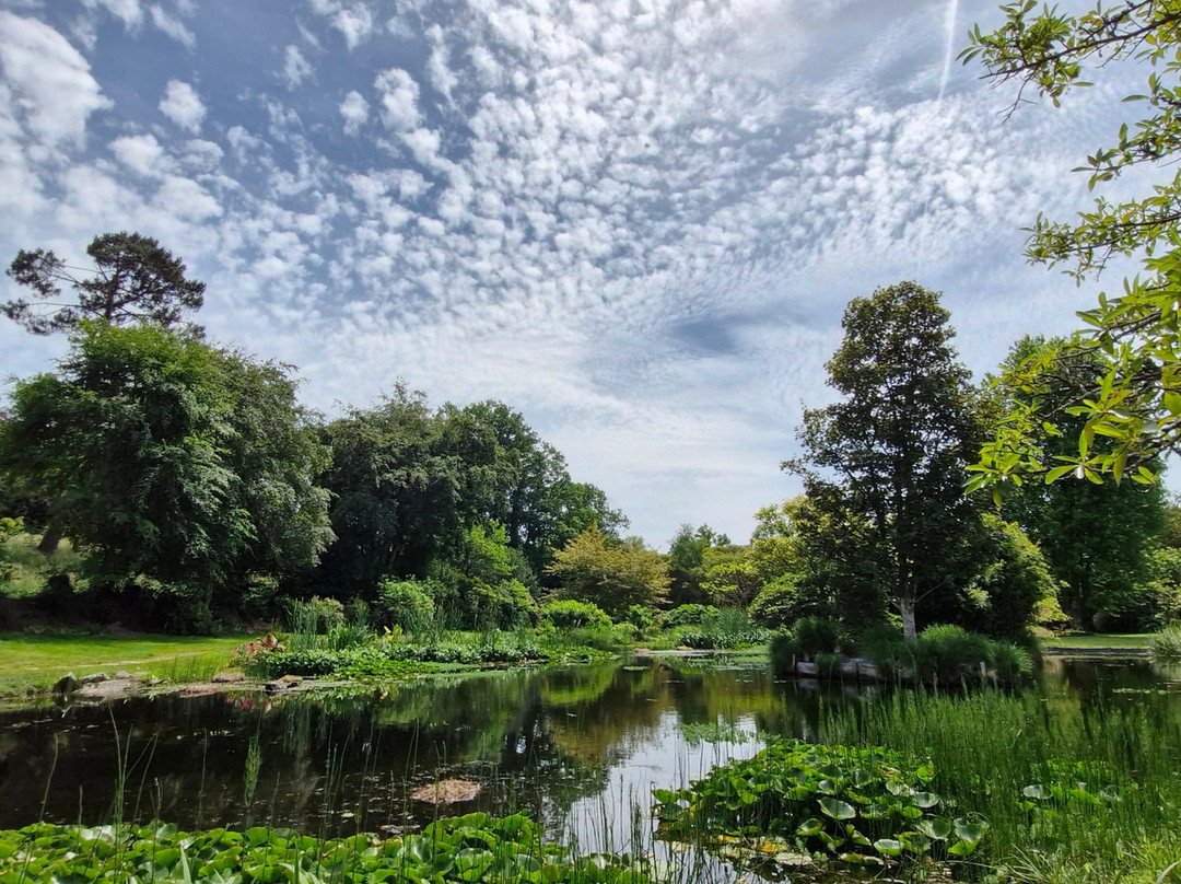 Parc Botanique de Cornouaille-孔布里必去景点