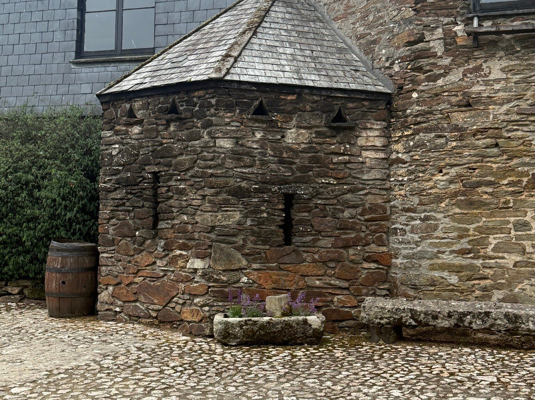 Healeys Cornish Cyder Farm-Penhallow必去景点