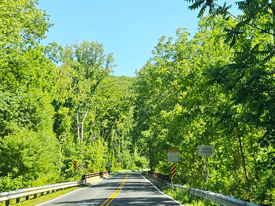 Clark Bridge over Deer Creek-Street必去景点