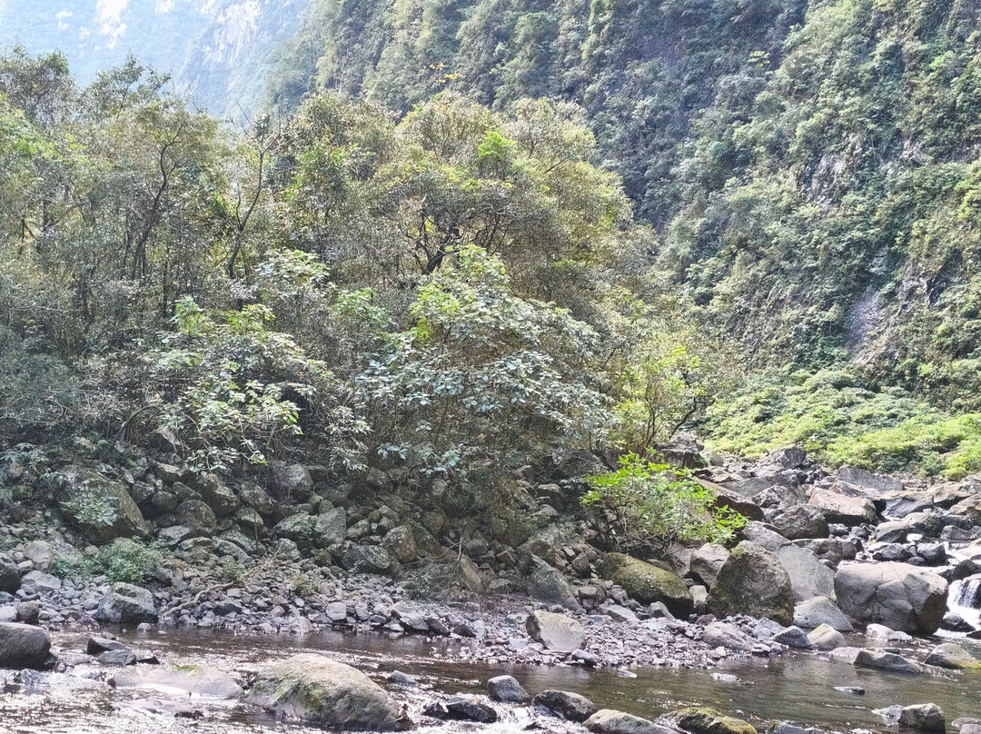 Trilha Do Rio Do Boi-Praia Grande必去景点