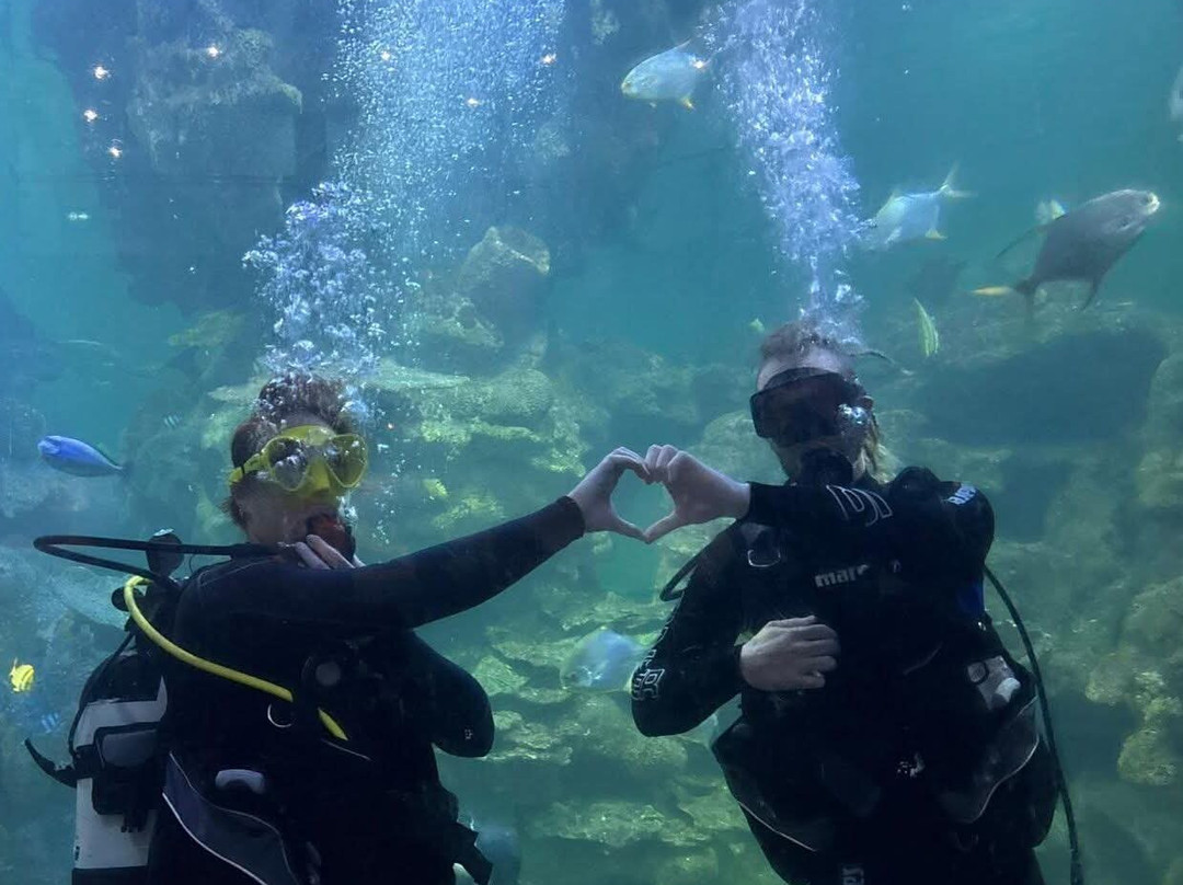 Blue Planet Aquarium-埃尔斯米尔港必去景点