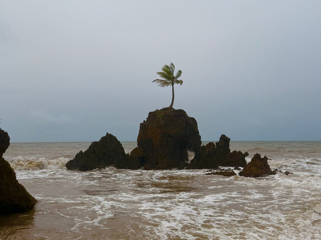 Praia de Tambaba-Conde必去景点