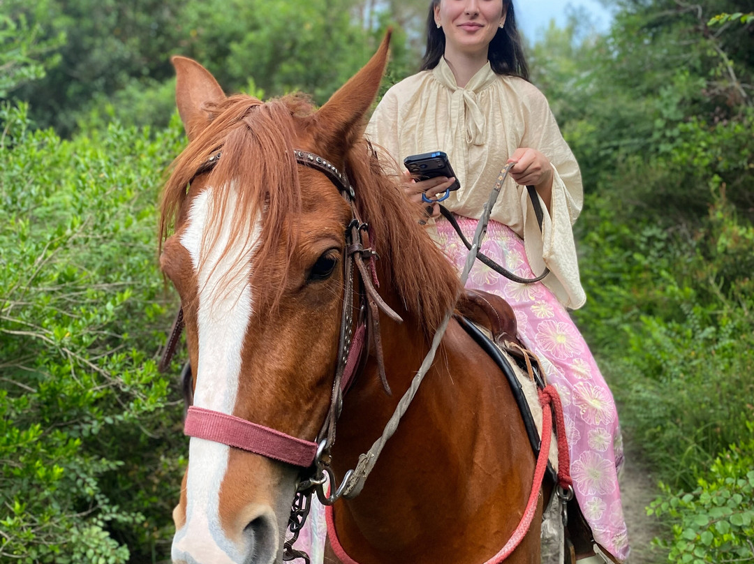 Belek Safari | Horse Riding Tour-Kumkoy必去景点