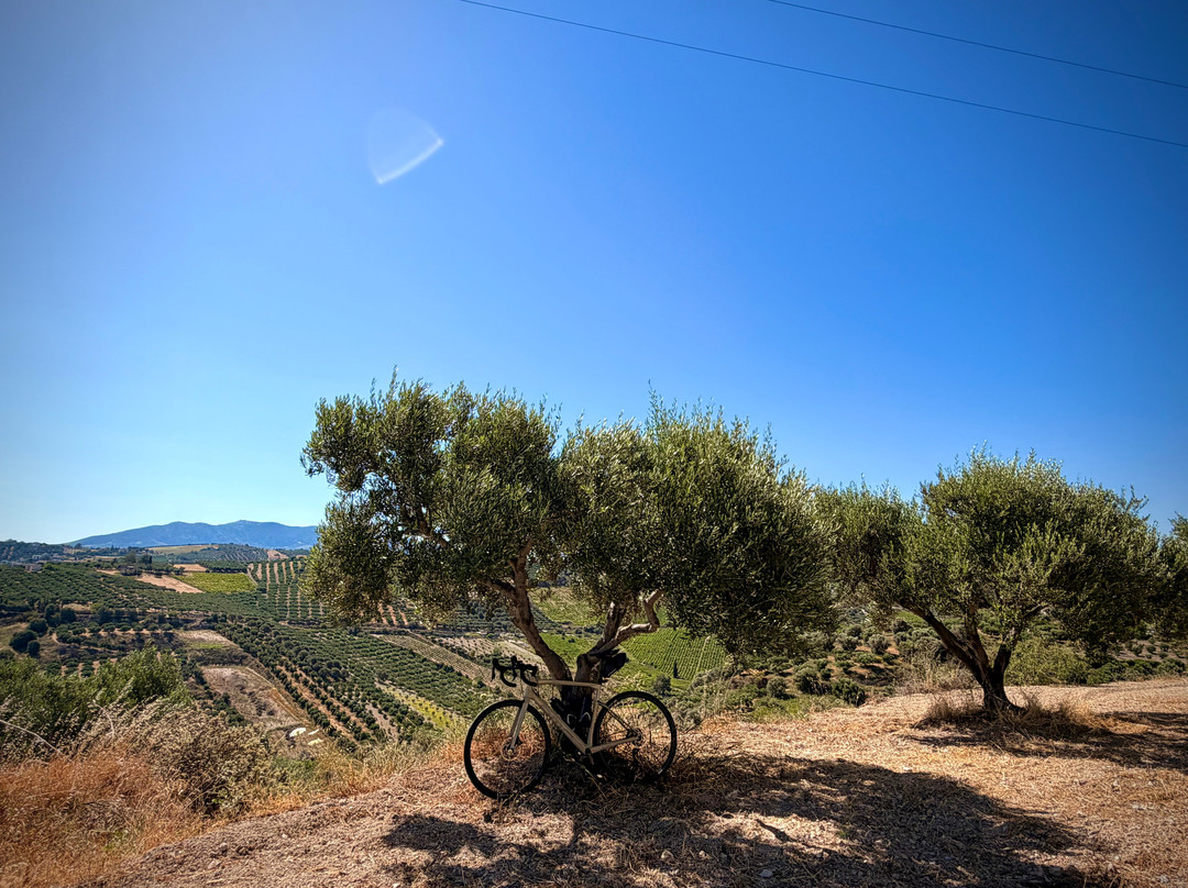 Cycling Creta-赫索尼索斯必去景点