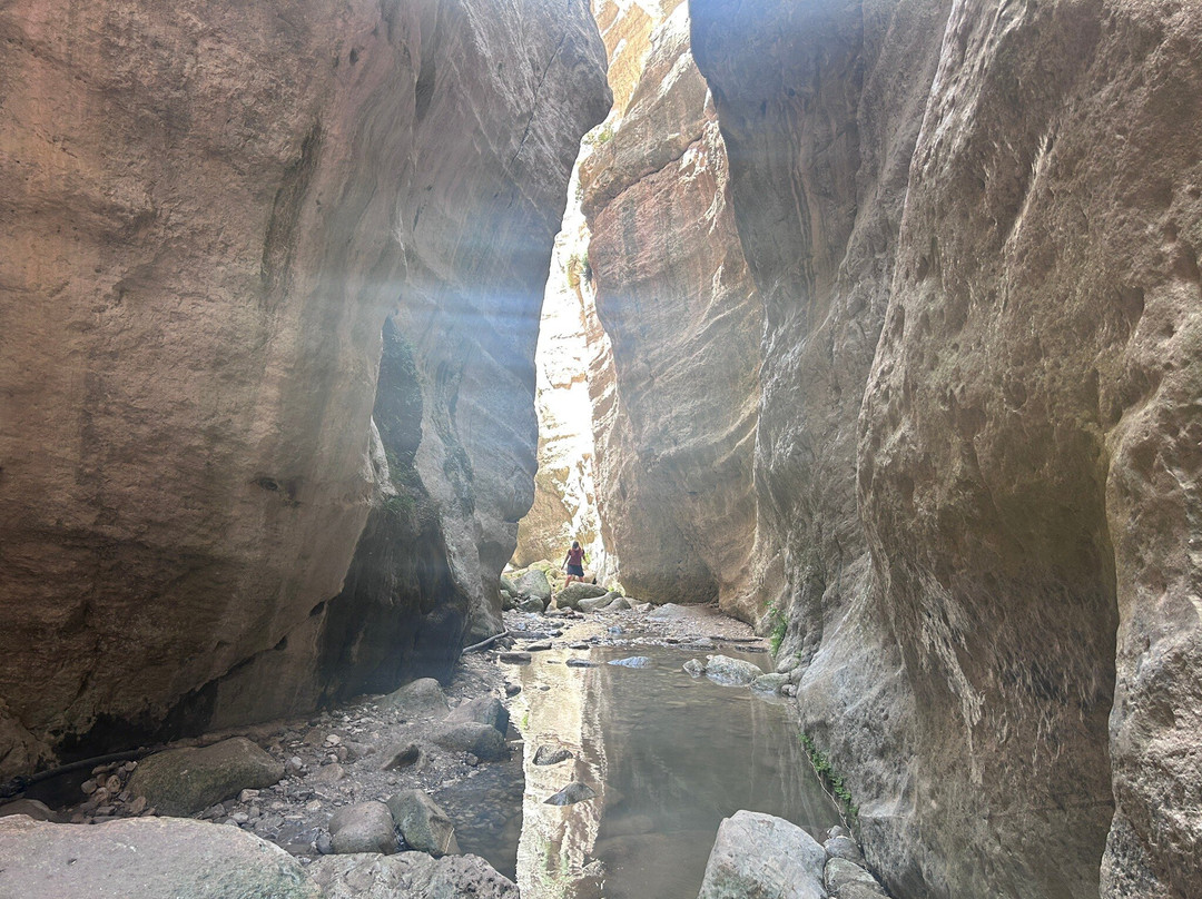 Avakas Gorge-帕福斯必去景点