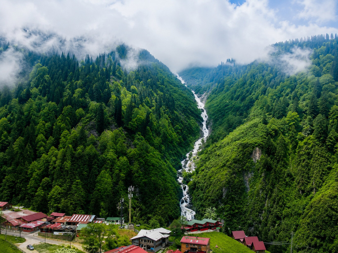 Kavran Yaylası酒店住宿-Ayder Doga Resort