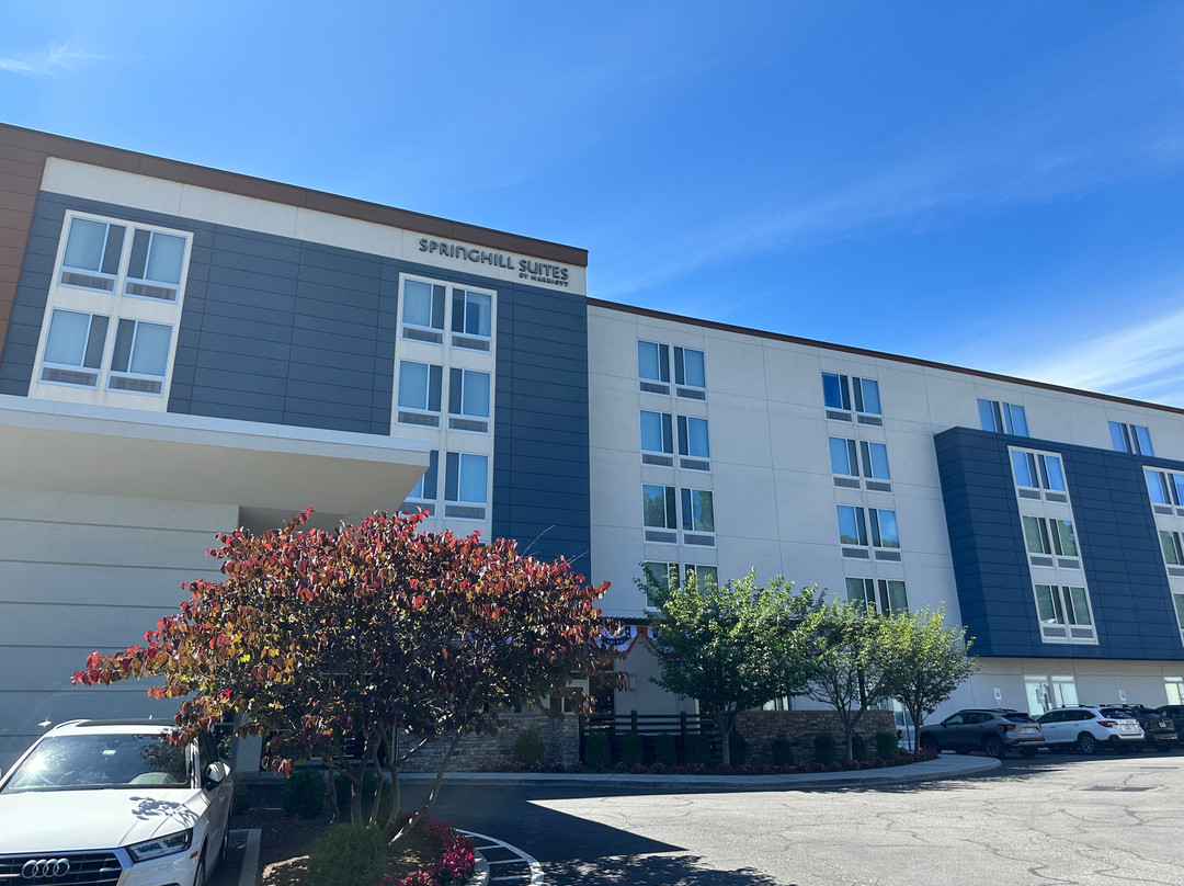 塔什霍韦斯特切斯特县万豪SpringHill Suites酒店主图
