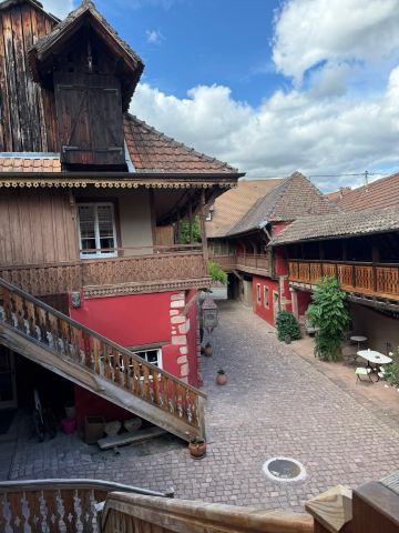 钓鱼藤水疗中心酒店-旅行者