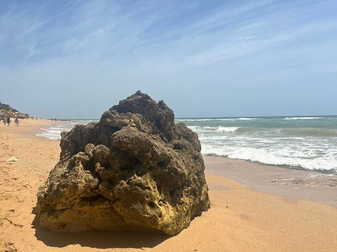 Praia Da Oura-阿尔布赞拉必去景点