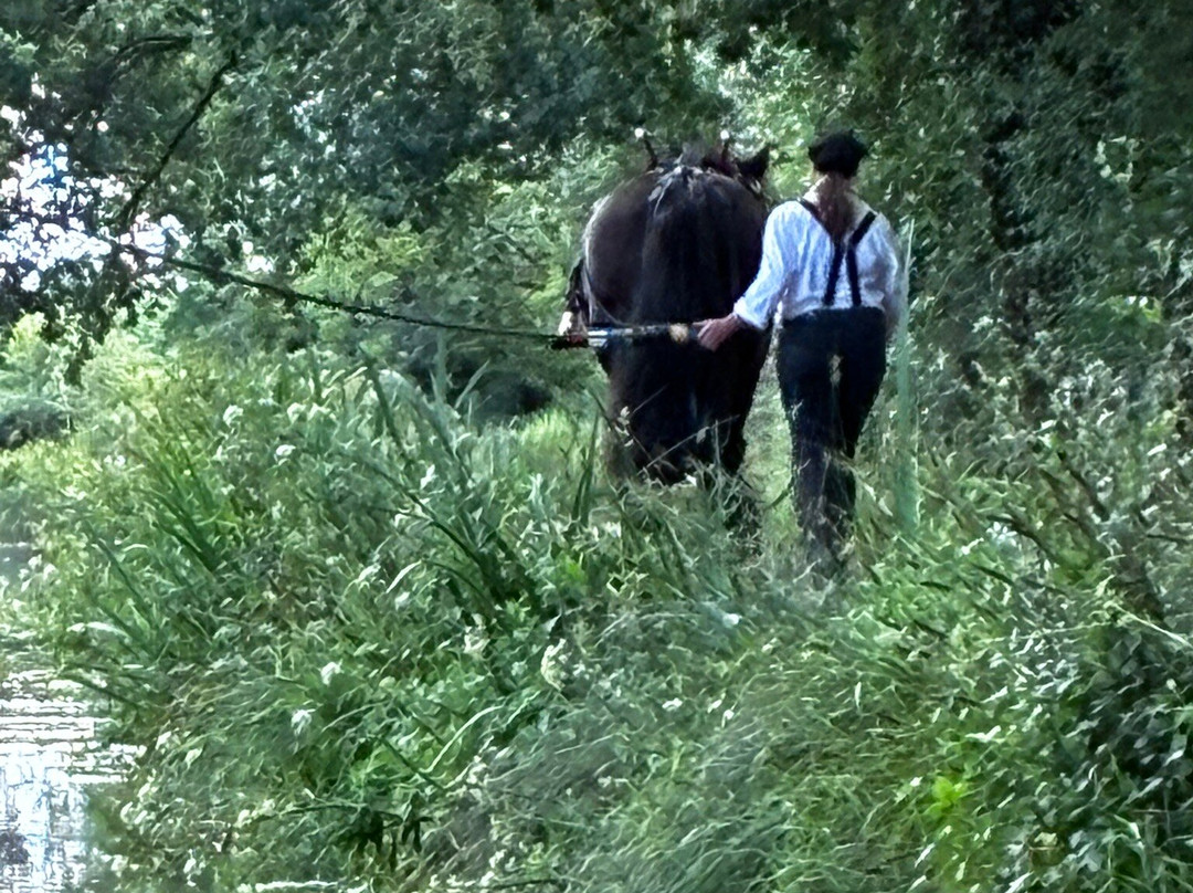 Tiverton Canal Co & Horse-Drawn Barge-蒂弗顿必去景点