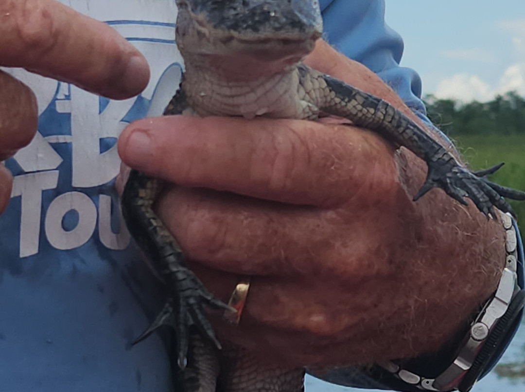 New Orleans Airboat Tours-Marrero必去景点