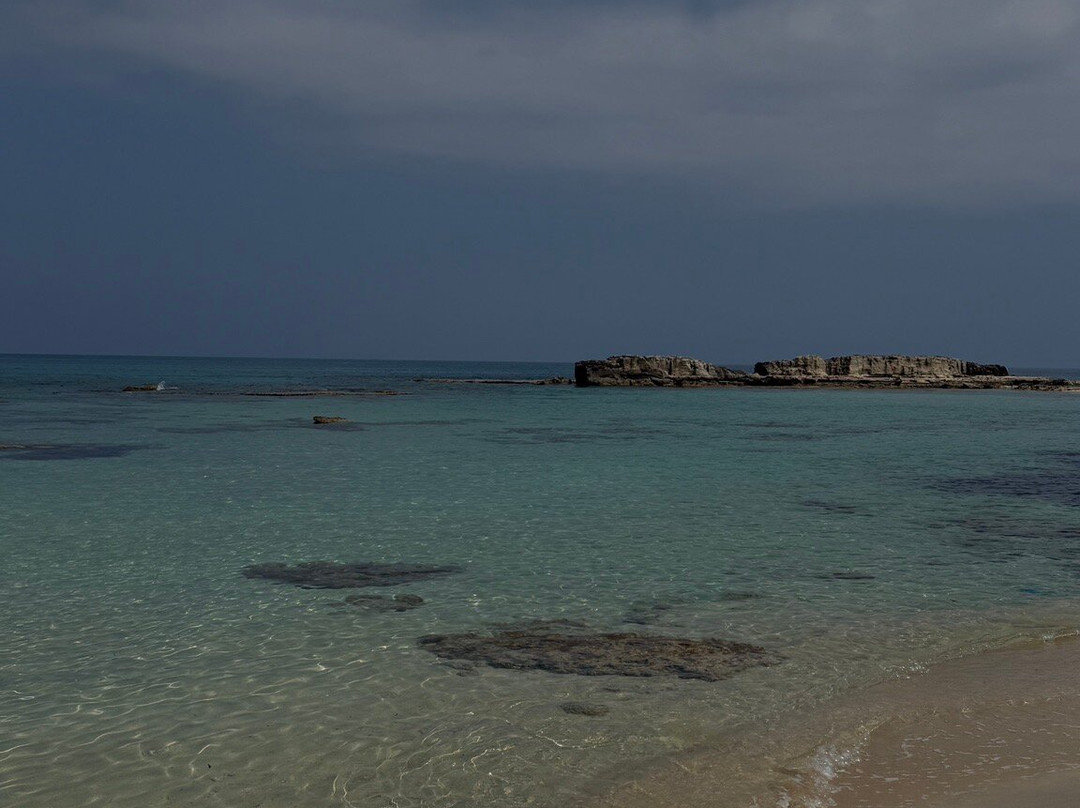 Oasis At Ayfilon主图