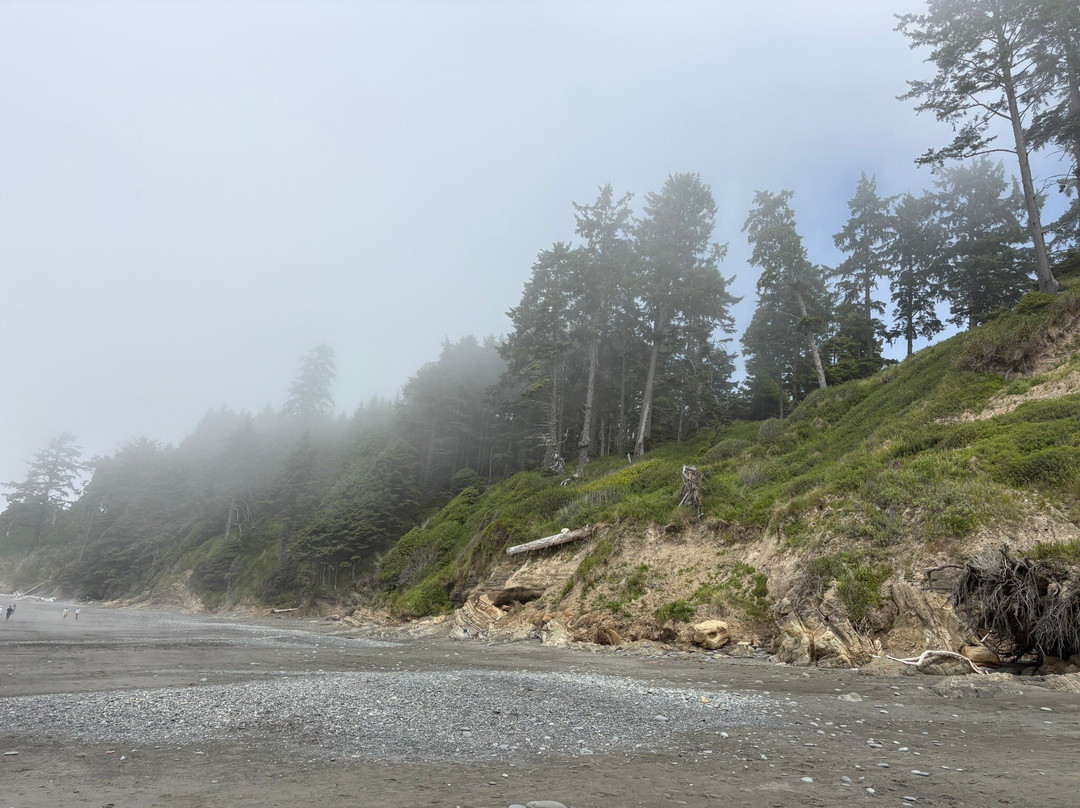Kalaloch Beach Trail 4-奥林匹克国家公园必去景点