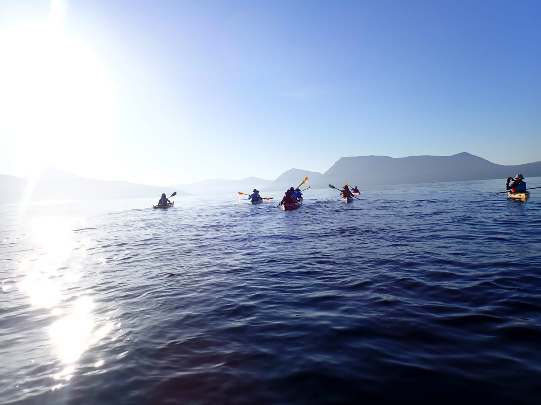Sea Kayaking Kefalonia - Greece-阿尔戈斯托利翁必去景点