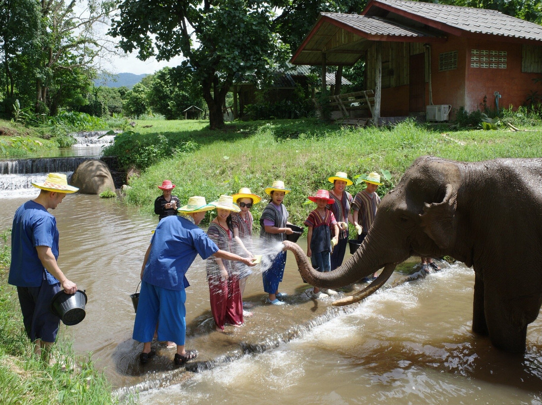 Doi Lom Elephant Rescue Sanctuary-夜登必去景点