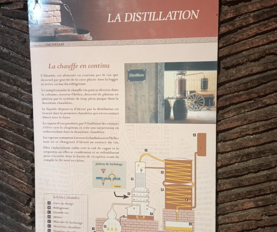 Domaine d'Ognoas-Arthez-d'Armagnac必去景点