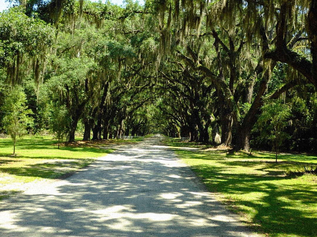 Wormsloe Historic Site-萨凡纳必去景点